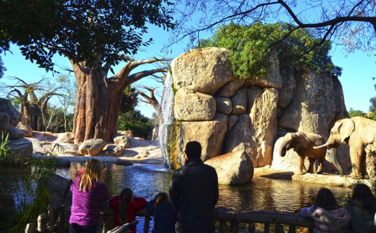 BIOPARC Valencia