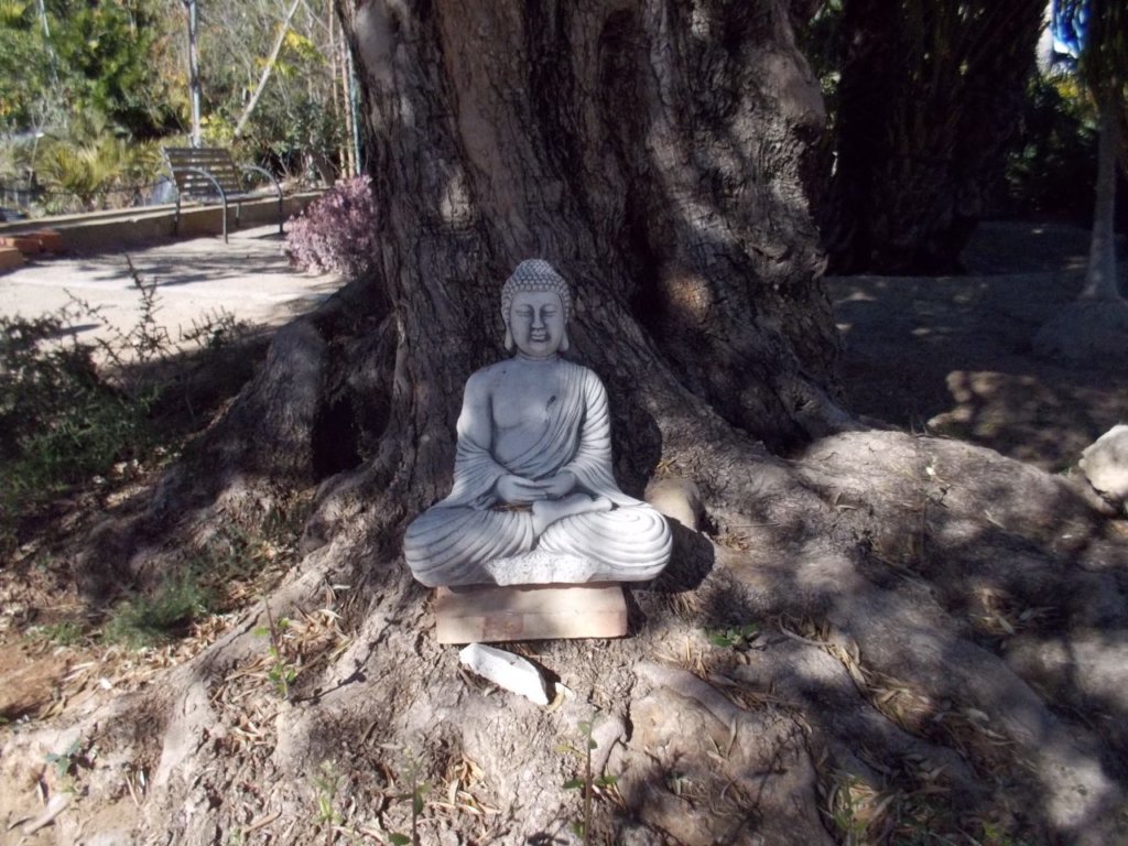 jardín botánico de Cullera