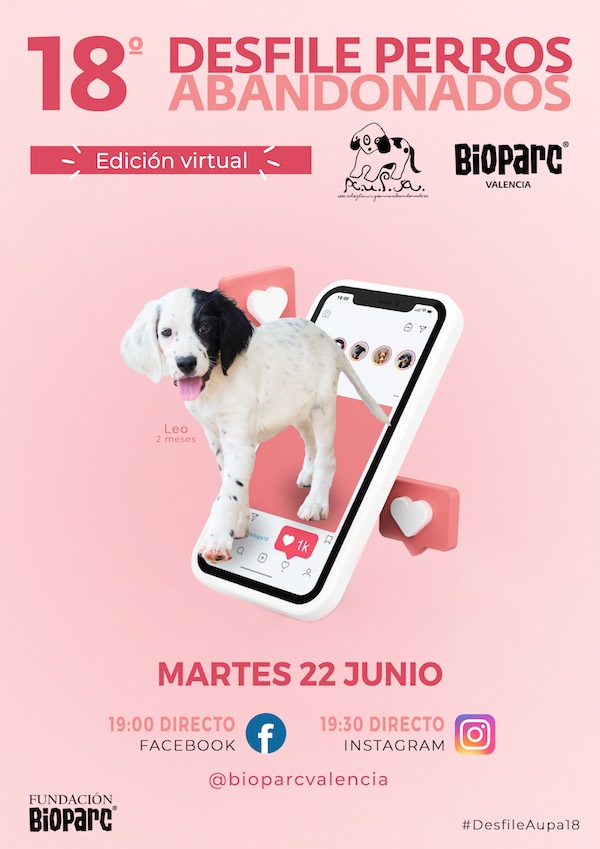 DESFILE PERROS ABANDONADOS AUPA BIOPARC