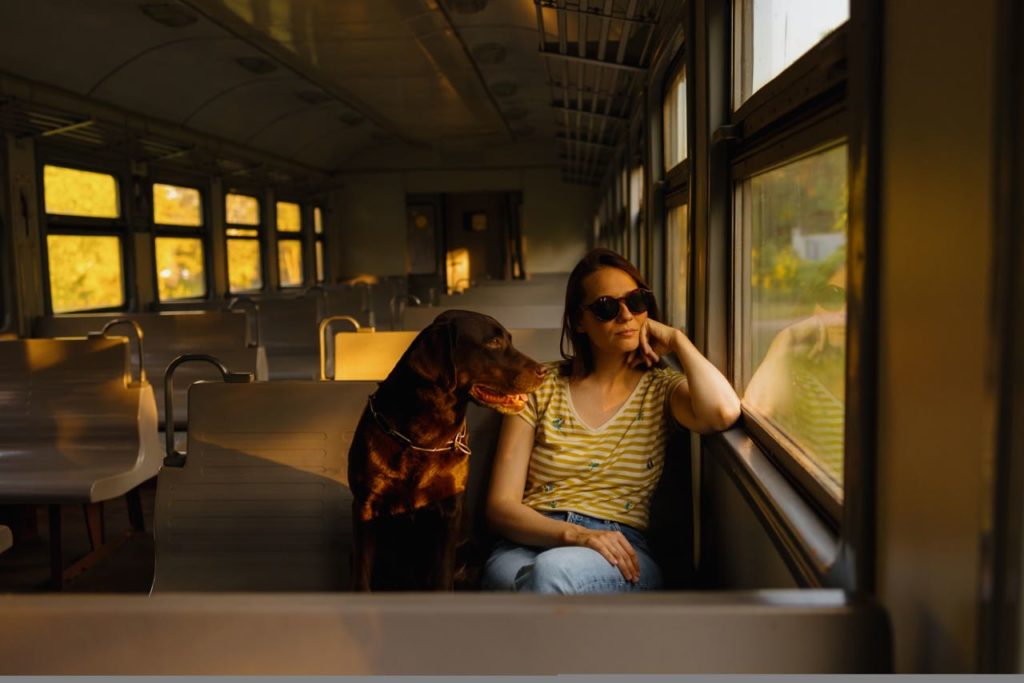 viajar perros renfe