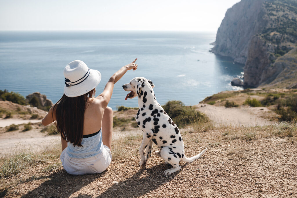 playas para perros Valencia