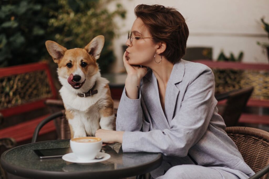 DONDE IR CON TU MASCOTA EN VALENCIA